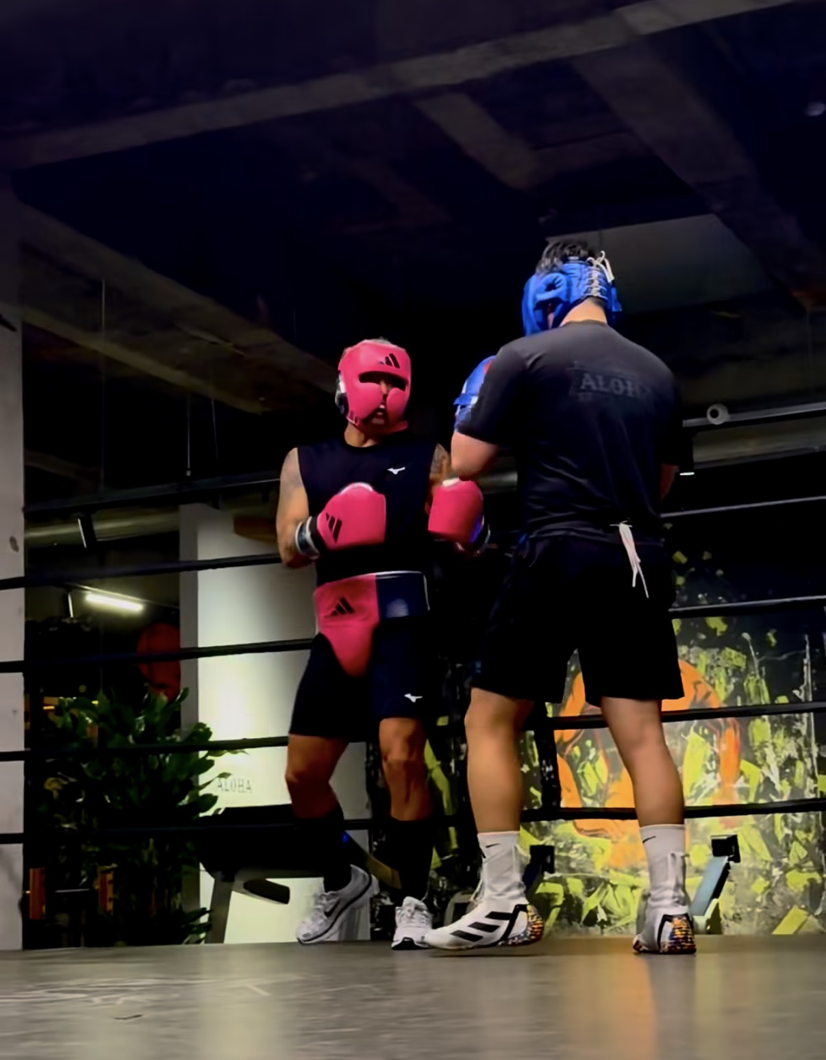 Aloha Boxing Gym | 강남 복싱 헬스장 — 학동점 · 삼성점